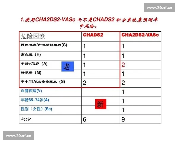 最新篮球赛程全面查询与实时比分更新指南